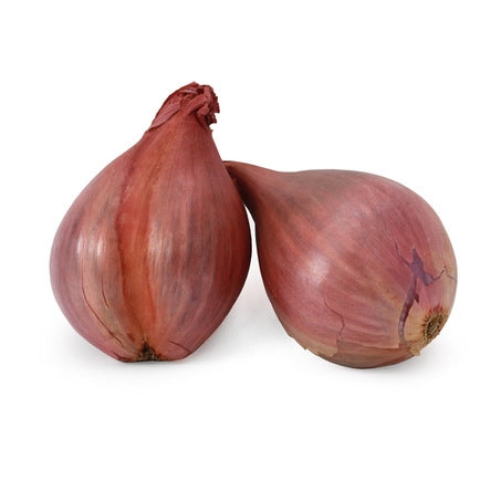 Wholesale Shallots- Bulk