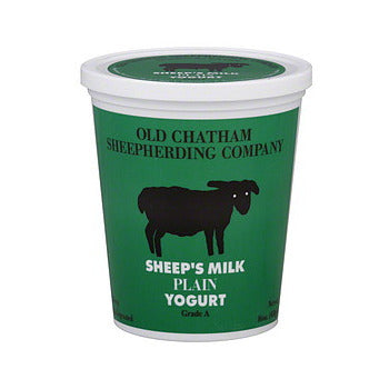 Wholesale Old Chatham Plain Sheeps Milk Yogurt 16oz- Bulk
