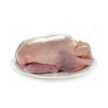 Wholesale Jurgielewicz Head and Feet on Confucius Whole Duck 38lb- Bulk