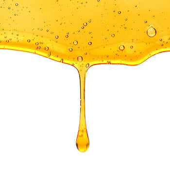Wholesale McClure's Clover Blossom Honey Pail 60lb- Bulk