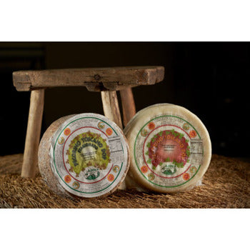 Wholesale Mitica Semi-Firm Young Sheep's Milk Cheese From Tuscany, 5lb- Bulk