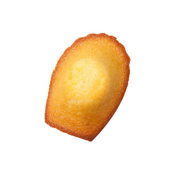 Wholesale St Michel French Madeleine Cookies- Bulk