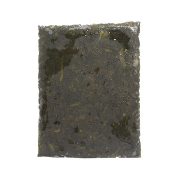 Wholesale Ocean Approved Slaw Cut Kelp 1lb- Bulk