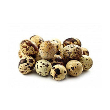 Wholesale Cavendish Game Birds Quail Eggs- Bulk
