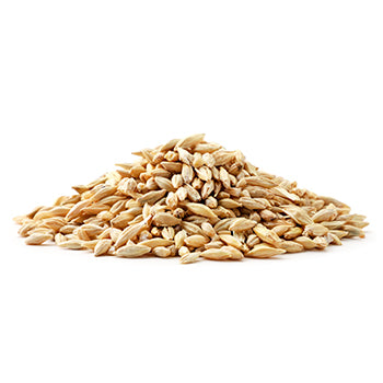 Wholesale Browns Best Barley 25lb- Bulk