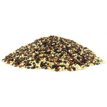 Wholesale Valued Naturals Tri Color Quinoa 25lb- Bulk