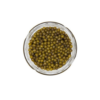 Wholesale Sasanian Imported Golden Osetra Caviar 4.5oz- Bulk
