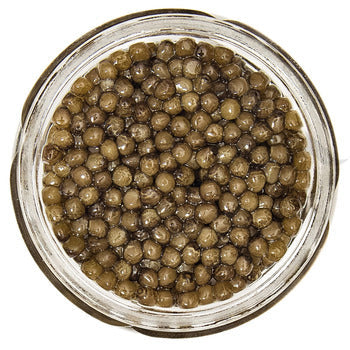 Wholesale Sasanian Imported Royal Osetra Caviar 1oz- Bulk