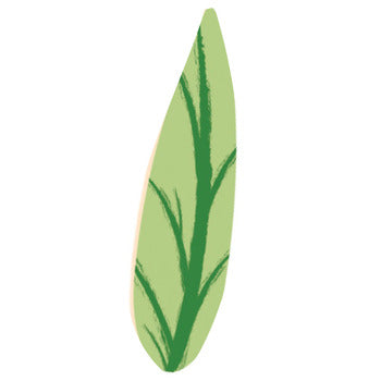 Wholesale Varda Varda Green Hickory Leaf- Bulk