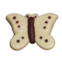Wholesale Varda Varda Colorful Butterflies- Bulk