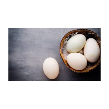 Wholesale Jurgielewicz Duck Egg Dozen- Bulk