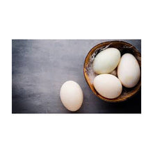 Wholesale Jurgielewicz Duck Egg Dozen- Bulk