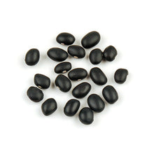 Wholesale Woodland Foods Black Beans 25lb- Bulk
