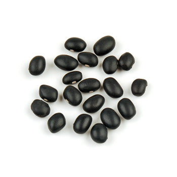 Wholesale Woodland Foods Black Beans 25lb- Bulk