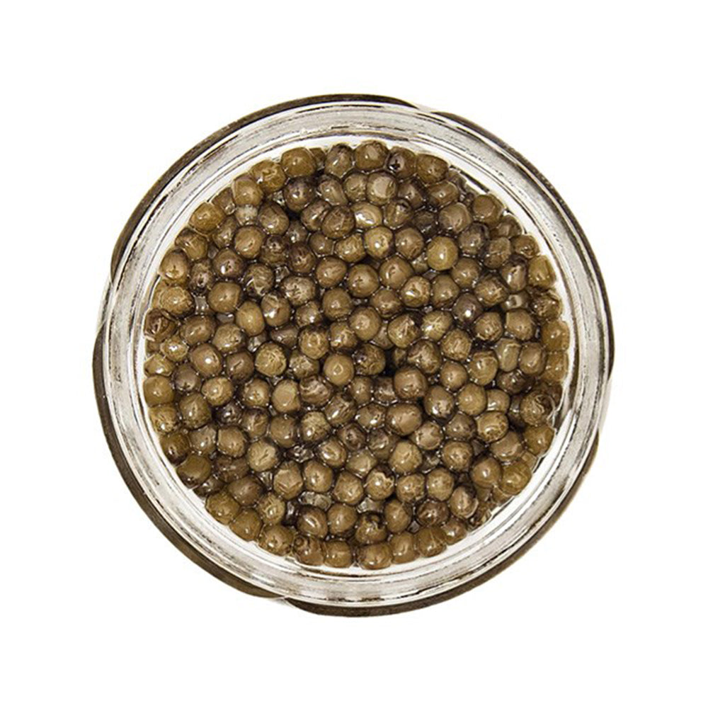 Wholesale Sasanian Caviar Russian Osetra 4oz- Bulk