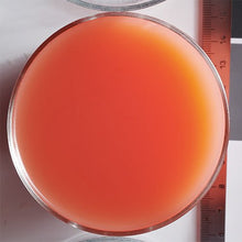 Wholesale Boiron Watermelon Puree 1kg- Bulk