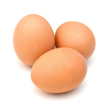 Wholesale Sauder Extra Large Brown Eggs- Bulk