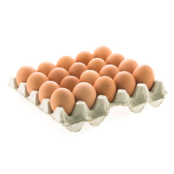 Wholesale Sauder's Eggs Organic Extra Large Brown Eggs- Bulk