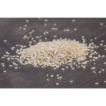 Wholesale Capitol Food Company Sesame Seeds White 25lb- Bulk