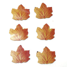 Wholesale Varda White Chocolate Maple Leaves- Bulk