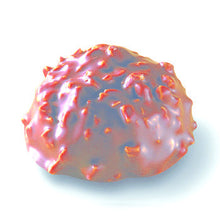 Wholesale Valrhona Bonbon Val Milk Choc Almond 2.2lb- Bulk
