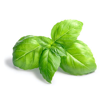 Wholesale Dix Farms Fresh Basil 1kg- Bulk