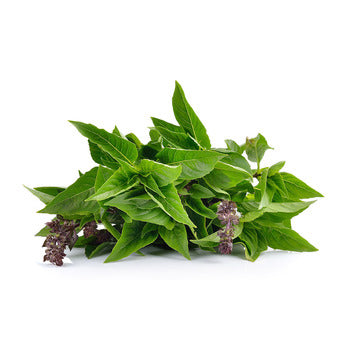 Wholesale Dix Farms Thai Basil 1lb- Bulk