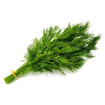 Wholesale Dix Farms Dill 1lb- Bulk