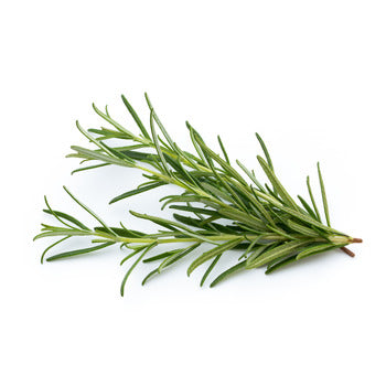 Wholesale Dix Farms Fresh Rosemary 1kg- Bulk