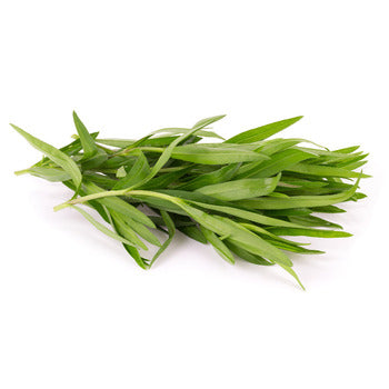 Wholesale Dix Farms Tarragon 1kg- Bulk