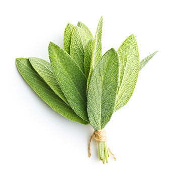 Wholesale Dix Farms Sage 1lb- Bulk