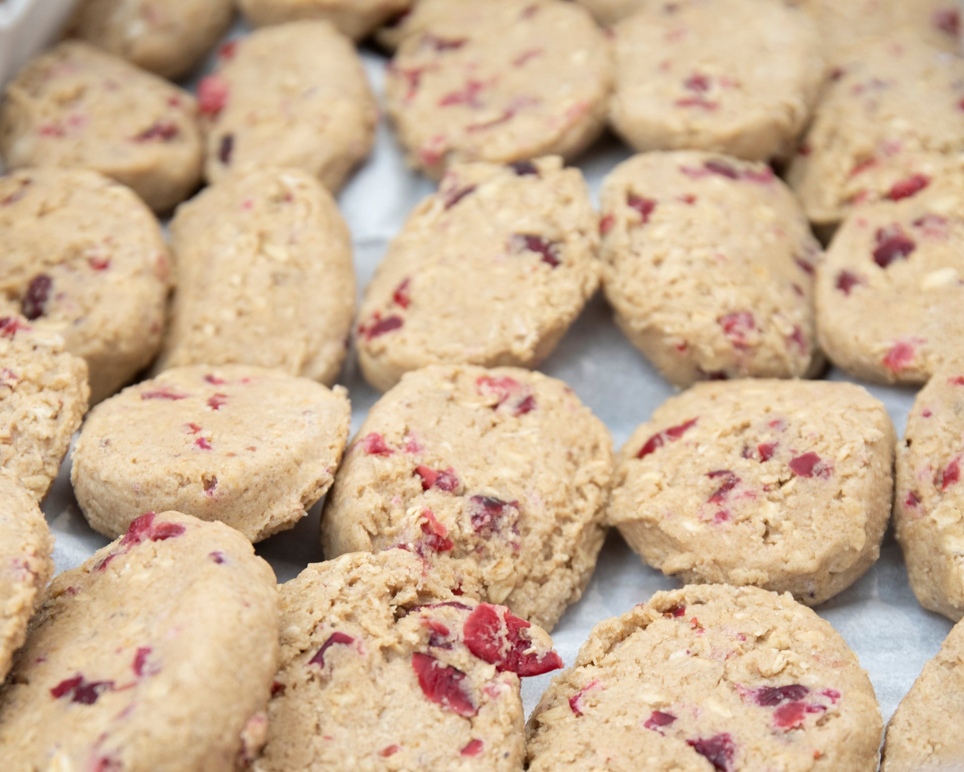 Wholesale Sweet Lorens Gluten Free Vegan Oatmeal Cranberry Cookie Dough 1.5oz- Bulk