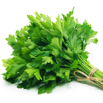 Wholesale Dix Farms Flat Parsley 4oz- Bulk