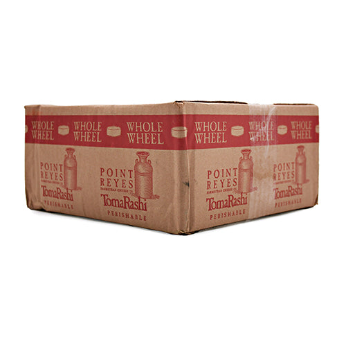 Wholesale Point Reyes Toma Rashi Cheese Wheel 10lb- Bulk