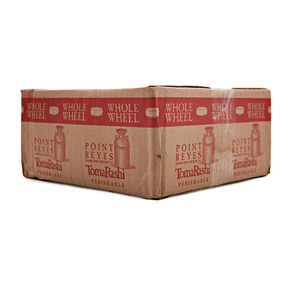 Wholesale Point Reyes Toma Rashi Cheese Wheel 10lb- Bulk