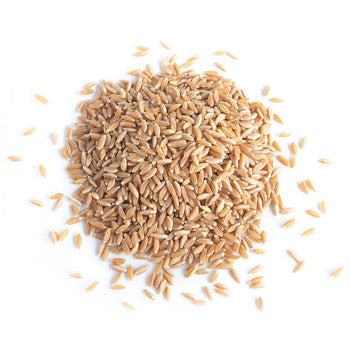 Wholesale Maine Grains Farro Grains 25lb- Bulk