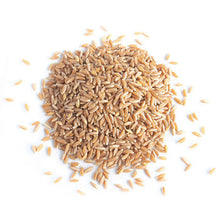 Wholesale Maine Grains Farro Grains 25lb- Bulk