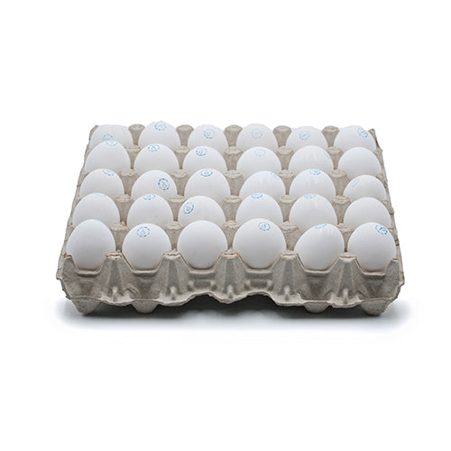 Wholesale Papetti's Large Cage Free Pasteurized Eggs- Bulk