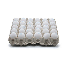 Wholesale Papetti's Large Cage Free Pasteurized Eggs- Bulk