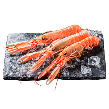 Wholesale Sanford Scampi Whole G1 New Zealand 4.4lb- Bulk