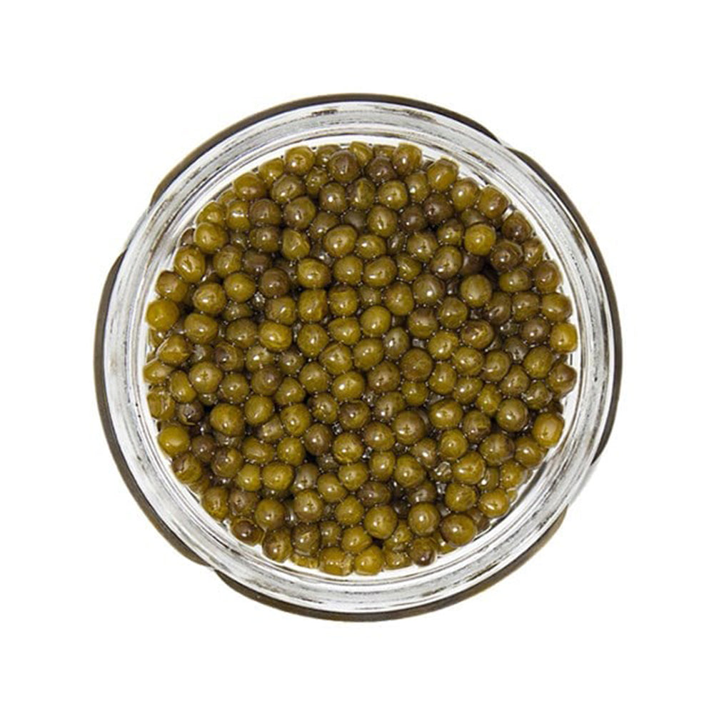 Wholesale Sasanian Kaluga Hybrid 35oz- Bulk
