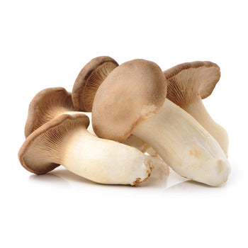 Wholesale Dix Farms Mushroom King Trumpet 11lb- Bulk