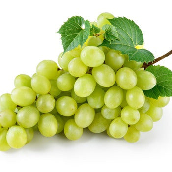 Wholesale Dix Farms Seedless Green Grapes 18lb- Bulk