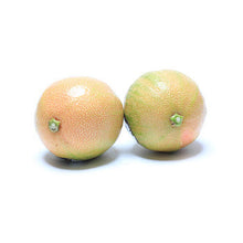 Wholesale Dix Farms Fresh Lemon Variegated 10lb- Bulk