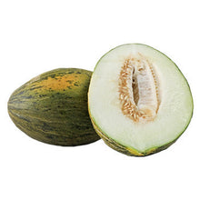 Wholesale Dix Farms Santa Claus Melons- Bulk
