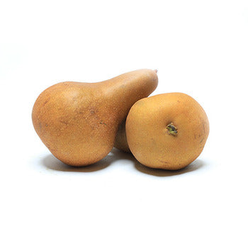 Wholesale Dix Farms Bosc Pears- Bulk
