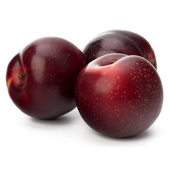 Wholesale Dix Farms Fresh Plum Red- Bulk