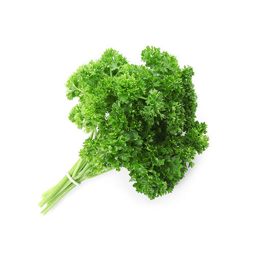 Wholesale Dix Farms Curly Parsley- Bulk