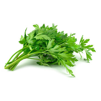 Wholesale Dix Farms Flat Parsley- Bulk
