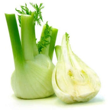 Wholesale Dix Farms Anise Fennel- Bulk
